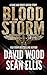 Bloodstorm (Dane Maddock Or...