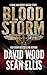 Bloodstorm (Dane Maddock Origins #10)