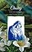 Chastity: A Guide for Teens...