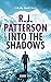 Into the Shadows (Brady Haw...