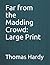 Far from the Madding Crowd