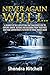Never Again Will I...: A journey of self-reflection that challenges one to explore unwise actions and decisions from their past, and make commitments to never do those things again.