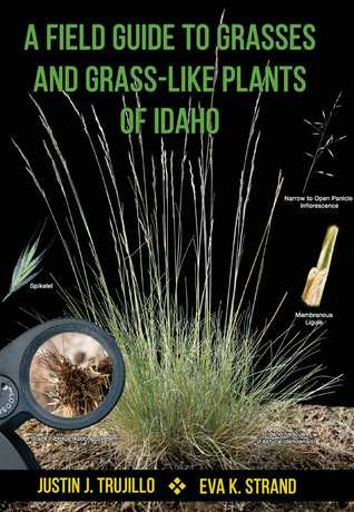 A Field Guide to Grasses and Grass-Like Plants of Idaho (Spiral-bound)