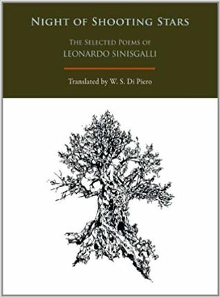 Night of Shooting Stars