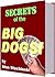 Secrets Of The BIG Dogs by Stan Stuchinski