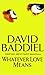 The Book of the Damned by Baddiel