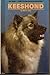 Keeshonds