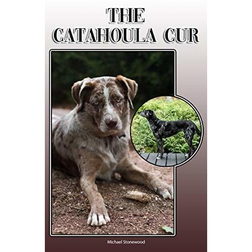 catahoula training guide