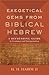 Exegetical Gems from Biblical Hebrew: A Refreshing Guide to Grammar and Interpretation