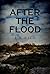After The Flood
