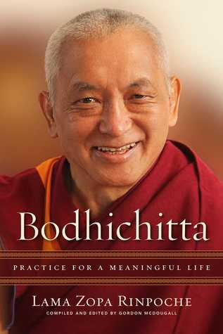 Bodhichitta: Practice for a Meaningful Life (Kindle Edition)