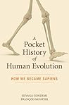 A Pocket History of Human Evolution by Silvana Condemi