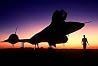 The Blackbirds an...