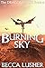 Burning Sky (Dragonlands #4)
