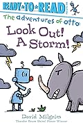 Look Out! A Storm!: Ready-to-Read Pre-Level 1