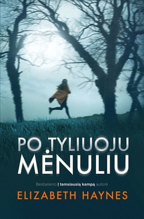 Po tyliuoju mėnuliu (DCI Louisa Smith #1)
