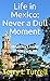 Life in Mexico: Never a Dul...