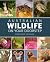 Australian Wildlife on Your...