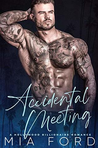 Accidental Meeting (Kindle Edition)
