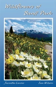 Wildflowers of Banff Park