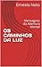 OS CAMINHOS DA LUZ: Mensagens da Abertura Mental (Portuguese Edition)