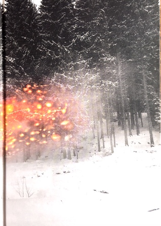 Dark Mountain: Issue 15