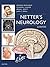 Netter's Neurology E-Book (Netter Clinical Science)