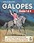 CURSO DE EQUITACIÓN. GALOPES. NIVELES 1 AL 4 (Curso de equitacion / Equitation course) (Spanish Edition)