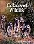 Colours of Wildlife by Willem Van Der Merwe