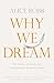Why We Dream: The Science, Creativity and Transformative Power of Dreams