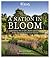 RHS A Nation in Bloom: Cele...