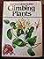 Climbing Plants