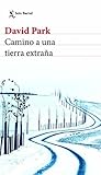 Camino a una tierra extraña by David Park