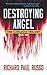 Destroying Angel by Richard Paul Russo