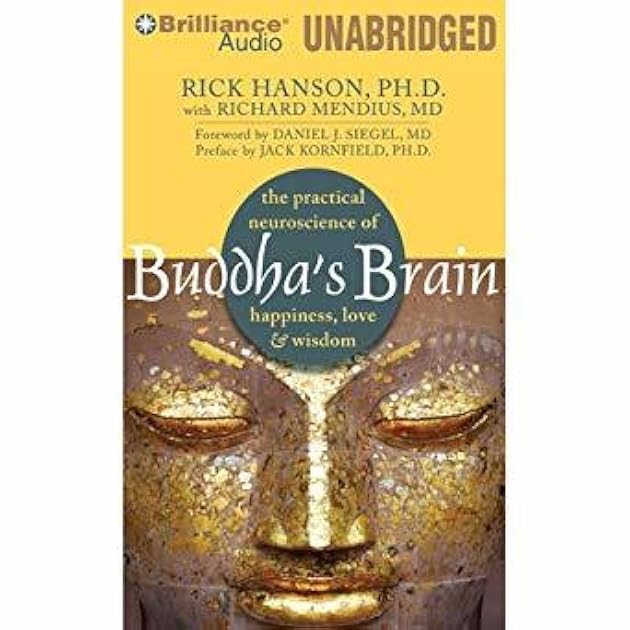 Buddha's Brain: The Practical Neuroscience of Happiness, Love, and Wisdom