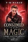 Consumed by Magic: A Magic Sanctuary Novella (The Magic Sanctuary Trilogy)