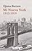 Mi Nueva York 1913-1919