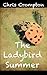 The Ladybird Summer
