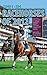 Racehorses 2012: A Timeform...