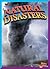 Natural Disasters (Rank It!)