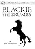 Blackie the brumby