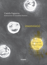 Insomnios (Paperback)
