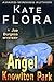 The Angel of Knowlton Park by Kate Flora