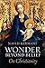 Wonder Beyond Belief: On Ch...