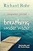Breathing Under Water Companion Journal by Richard Rohr
