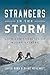 Strangers In The Storm by Jared Rund
