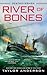 River of Bones (Destroyermen, #13)