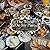 The World On My Plate by Robin Daumit