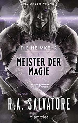 Die Heimkehr 1 - Meister der Magie: Roman (Die-Heimkehr) (German Edition)