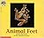 Animal Feet (Reading Discovery)